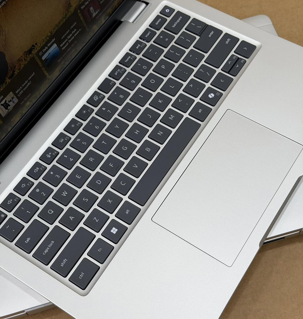 Dell Pro Plus PB14250